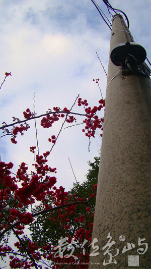 新竹縣橫山鄉-內灣老街