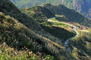 新北市瑞芳區-金瓜石秋芒