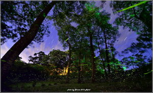 苗栗縣三灣鄉--神棹仙境