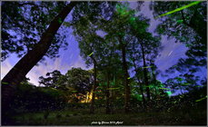 苗栗縣三灣鄉--神棹仙境