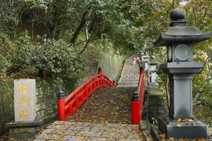 新北市汐止區-拱北殿賞楓