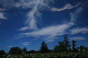 麒麟雲上的彩虹