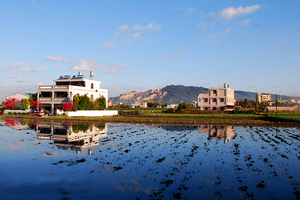 臺中市后里區－泰安村田園風光