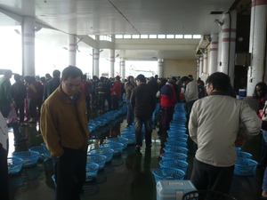 台南是將軍鄉魚港