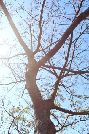 太陽公公終於露臉了