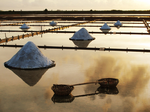台南市北門區-黃金鹽田