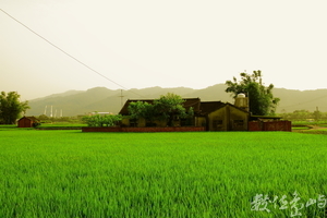 苗栗縣公館鄉－美栗人生