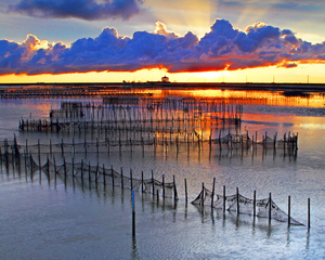台南市七股區-潟湖