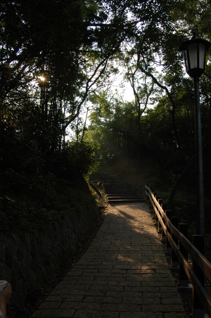 台北市內湖區-曙