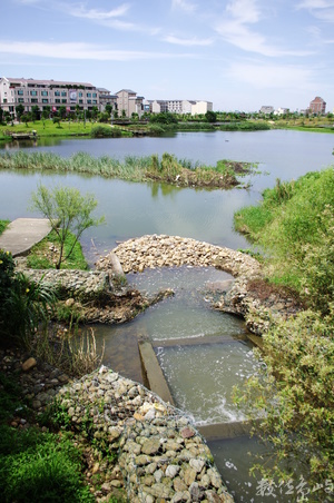 桃園縣中壢市_青塘園