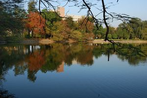 新竹市東區-清華大學成功湖