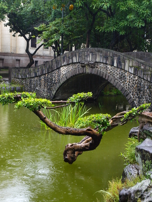 台灣拼圖_台北市中正區