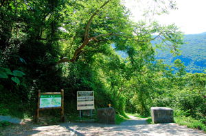 花蓮縣卓溪鄉-瓦拉米古道