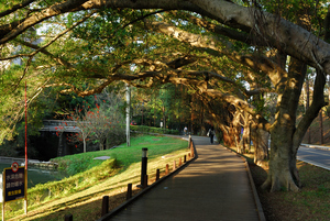 新竹市東區-清華大學校園