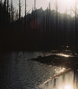 嘉義縣阿里山鄉-夕陽水漾
