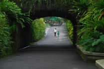 台北市文山區--孩子，我們看動物去