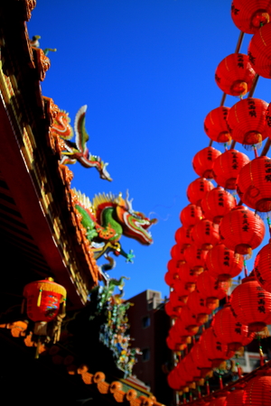 樹林- 鎮南宮