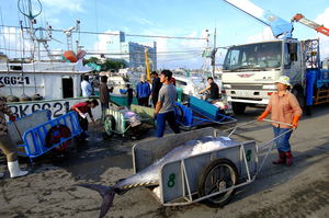 屏東縣東港鎮-東港鮪魚祭