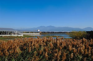 屏東縣林邊鄉-養水種電
