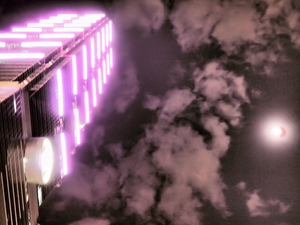 台北市信義區-101 VS 3002