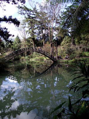 南投縣鹿谷鄉－溪頭大學池
