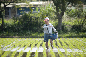 春耕系列－施肥