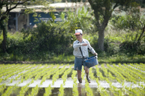 春耕系列－施肥