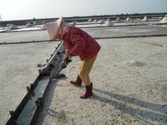 鹽田中，揮灑鹽
