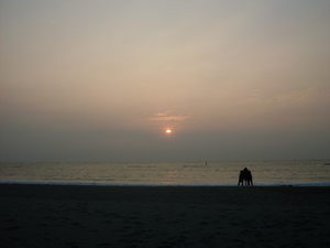 逐漸消失的夕陽