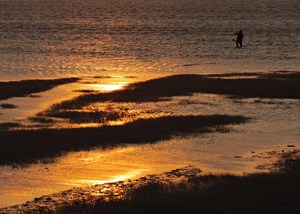 產業與人文組_03_歸