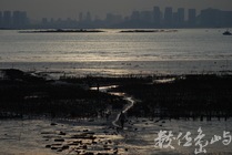 金門與廈門之間/陳旺展 2012年拍攝