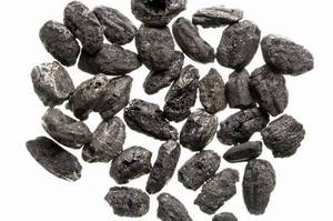 南關里東遺址出土大坌坑文化稻米