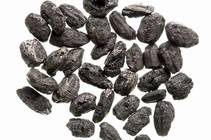 南關里東遺址出土大坌坑文化稻米