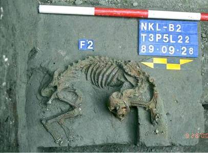 臺灣的史前文化與遺址（本相簿作品皆經作者授權）