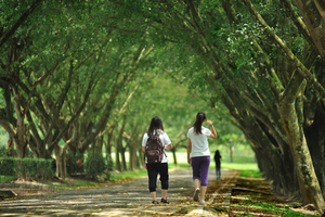 南投縣魚池鄉-三育基督書院2