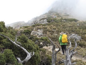 台東縣海瑞鄉-前進向陽山