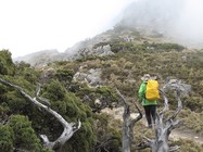 台東縣海瑞鄉-前進向陽山