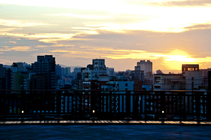 台北市文山區─政治大學