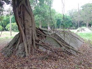 台南市鹽水區-岸內防空洞
