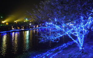 台南市鹽水區-月津港燈節3