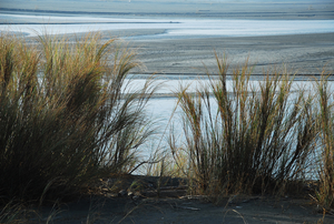 彰化縣大城鄉--濁水溪畔