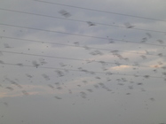 屏東縣恆春鎮-龍鑾潭南岸