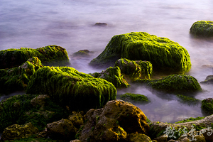 西子灣綠寶石