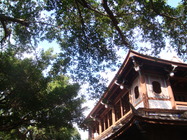 新北市板橋區-林家花園來青閣一角