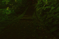 台北市文山區-火金姑步道之一