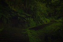 台北市文山區-火金姑步道之二