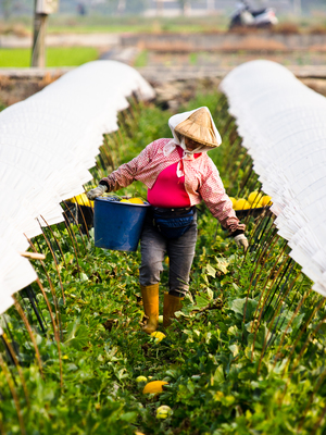 台灣拼圖_台南市