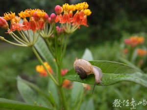 新北市永和區─蝸居