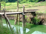 台南市鹽水區-滄海桑田