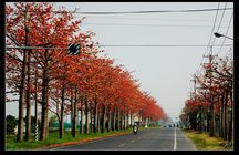 雲林縣西螺鎮—早安。